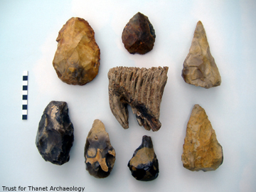 Lower Palaeolithic handaxes surrounding a mammoth's tooth