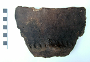Large sherd from a Deverel Rimbury cremation urn from Bon Secours, Ramsgate