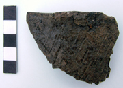 Rim sherd of a fragmentary Collared Urn from Lord of the Manor
