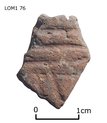 Grooved Ware sherd from Lord of the Manor I