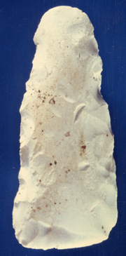 Polished flint axe from Ebbsfleet