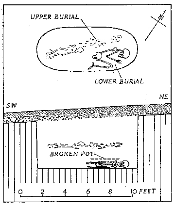 Plan and section of the Nethercourt Farm burial