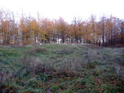The Kings Wood Earthen longbarrow, Challock