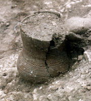 Great craic with the Beauforts Beaker