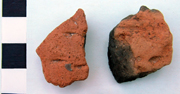 Fingernail-rusticated Beaker sherds from the backfill of the QEQM Beaker burial