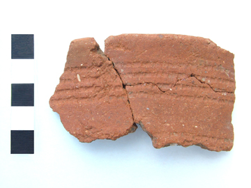 Rim sherds from the QEQM Beaker