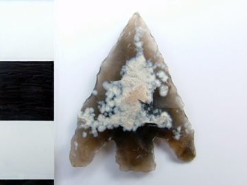 Conygar Hill type arrowhead (Small Find 3) from the QEQM Beaker burial